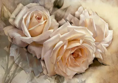 Модульные фотографии розы для интерьера – разные размеры и форматы