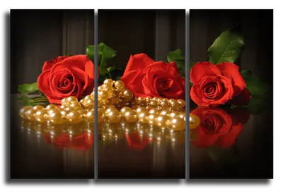 Фотографии розы в модульном исполнении – разные размеры и форматы для выбора
