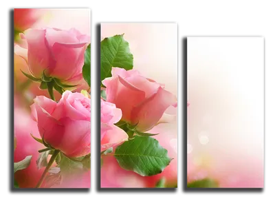 Модульные изображения розы – возможность выбора размера и формата для скачивания