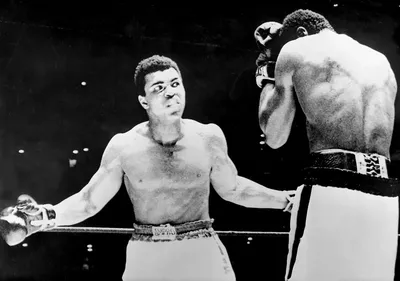 Фотографии Мохаммеда Али: история легенды бокса в картинках