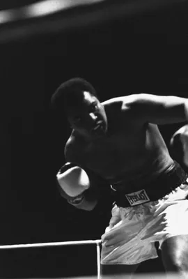 Потрясающие снимки боксера Мохаммеда Али
