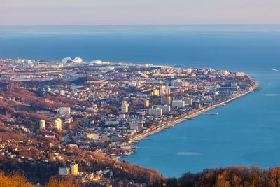 Загляните в мир Моря Адлер через фотообъектив