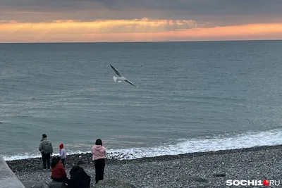 Море адлер: жемчужина Черного моря на фотографиях