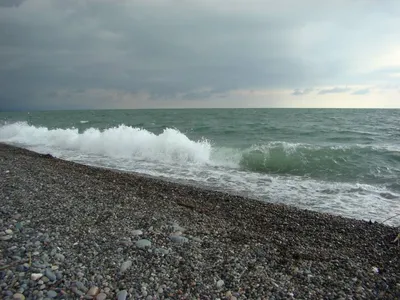 Путь к успеху: Искусно запечатленные фотографии из Моря денег.