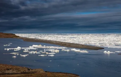 Прекрасные изображения моря лаптевых для скачивания