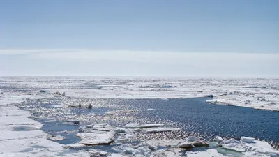 Волшебное сияние Моря лаптевых