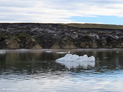 Сказочные скульптуры изо льда Моря лаптевых