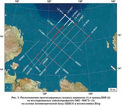 Обои на телефон с артом Моря лаптевых 2024 года