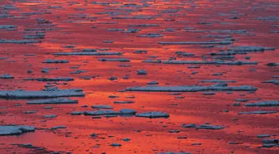 Уникальные фото Моря лаптевых с превосходным качеством