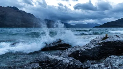 Фотография пляжной пальмы: обои на андроид в стиле 4K