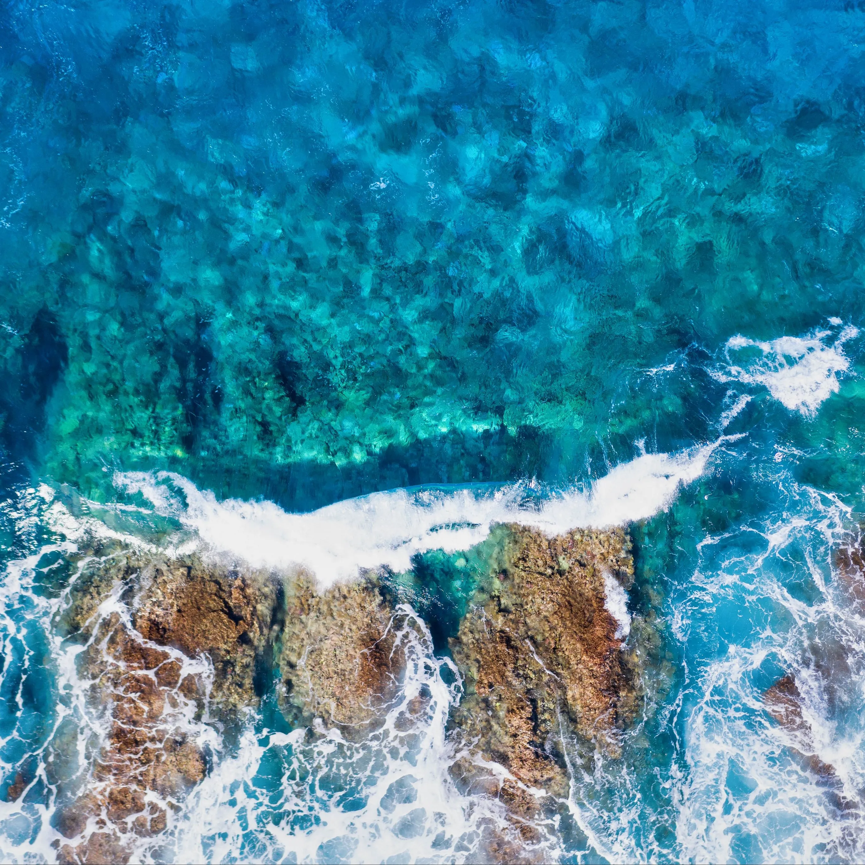 Исследование подводного мира: Фотографии океанских глубин в 4K | Море океан  Фото №1355028 скачать