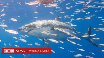 Солнце, море, песок: Фотографии для windows в HD