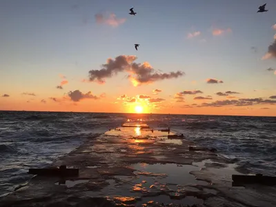 Бескрайнее море и его первые лучи солнца - фотография рассвета