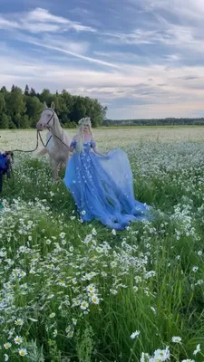 Волшебство морского пейзажа с ромашками