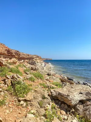 Волнующий экстрим: Водные виды спорта на Море Севастополь