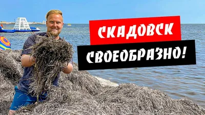 Изображения лазурного моря в Скадовске