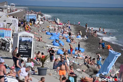 Фотогалерея Моря сочи: по краю бескрайнего голубого простора