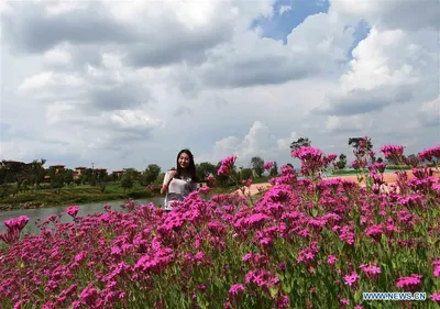 Фото морских красот: рисунки и арт, чтобы взглянуть на мир по-новому