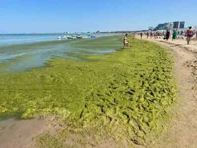 Райские пейзажи моря в Анапе сегодня на фото