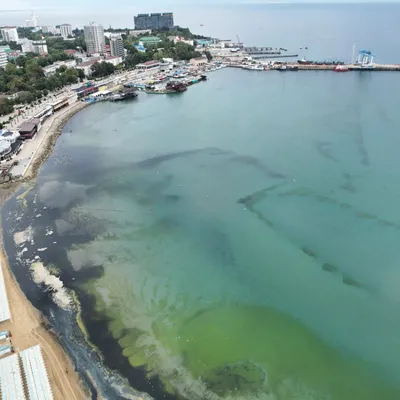 Фотографии моря на андроид: красота пляжей всегда под рукой.