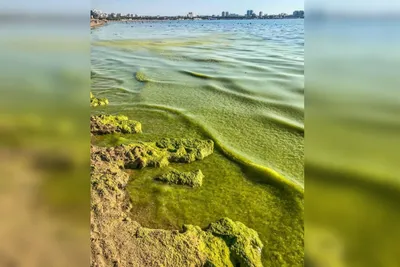 Уникальные снимки Моря в Анапе сейчас - фото в разных форматах для скачивания