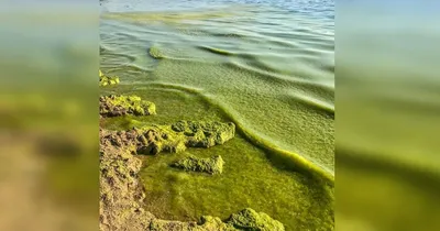 Исследуйте фотографии морского пейзажа Анапы в августе