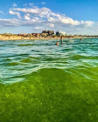 Фотоальбом Океан спокойствия: море в Анапе в августе