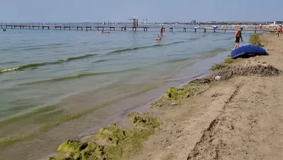 Волшебные прогулки по берегу: фотографии морского побережья Анапы в августе