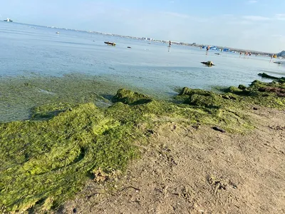 Фото прибрежной линии моря в Анапе в сентябре: скачайте в избранном формате (JPG, PNG, WebP)