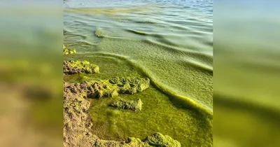 Фотография морского отдыха в Анапе в сентябре: арт для вашего рабочего стола