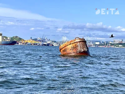 Фон Моря Владивостока: ощутите себя частью природы