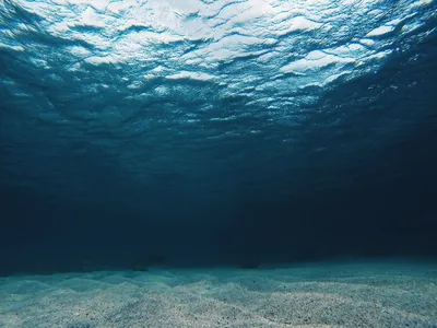 Море внутри: красивые фоны для вашего рабочего стола