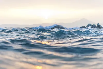 Фотк с морской водой для украшения