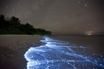 Фотографии моря ночью в разрешении Full HD для скачивания