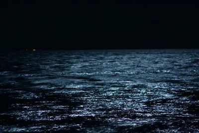 Уединение с природой: море ночью наслаждается фотоохотой