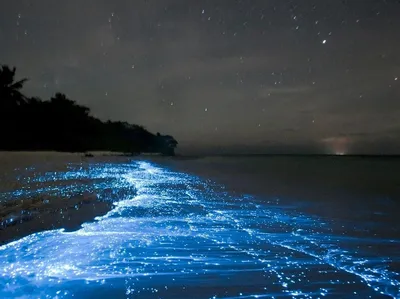 Игра света и тьмы: ночное море на фотографиях