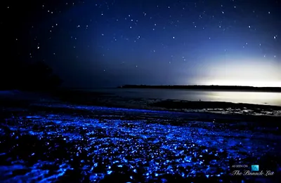 Фото моря ночью в хорошем качестве