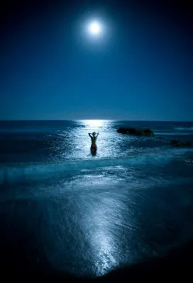 Звездное небо у ваших ног: Ночной океан раскрывает свою красоту