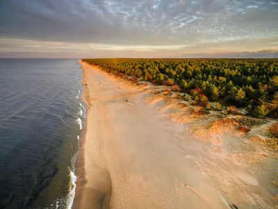 Мелодия моря: Волшебное сочетание цветов и звуков.