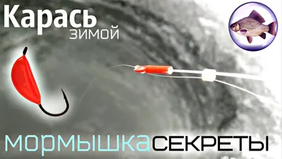 Улов на мормышку: Карась в объективе зимой