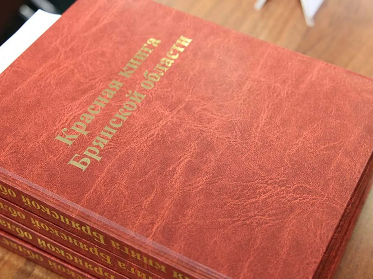 Красная книга Брянской области книга