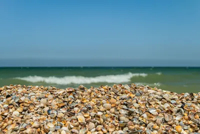 Фото Морское крым пляж - скачать в 4K разрешении
