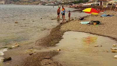 Фото Морское крым пляж - скачать новые фотографии в формате PNG