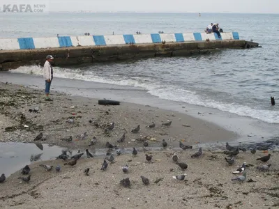 Фотографии пляжа в Крыму в хорошем качестве