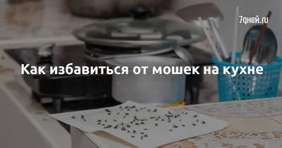 Арт с изображением мошек на кухне