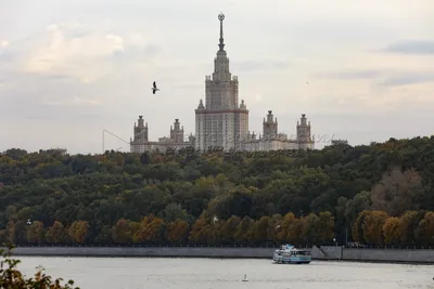 Фотки Московского государственного университета для скачивания