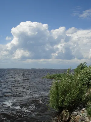 Фото Московского моря: обновите свою коллекцию яркими изображениями