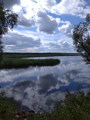 Фон с Московским морем на вашем экране