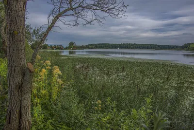 Фотографии Московского моря в HD качестве