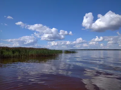 Фото Московского моря с прекрасным видом